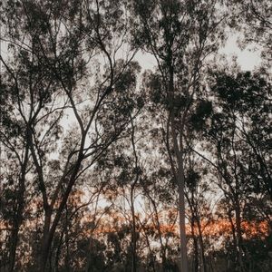 Meet your Posher, Hilary